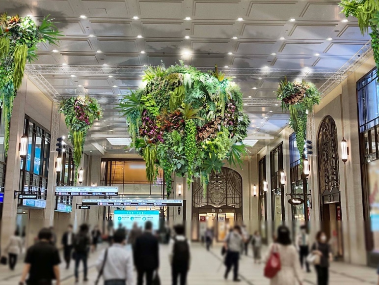 コンコースから広がる未来“GREEN SEED”